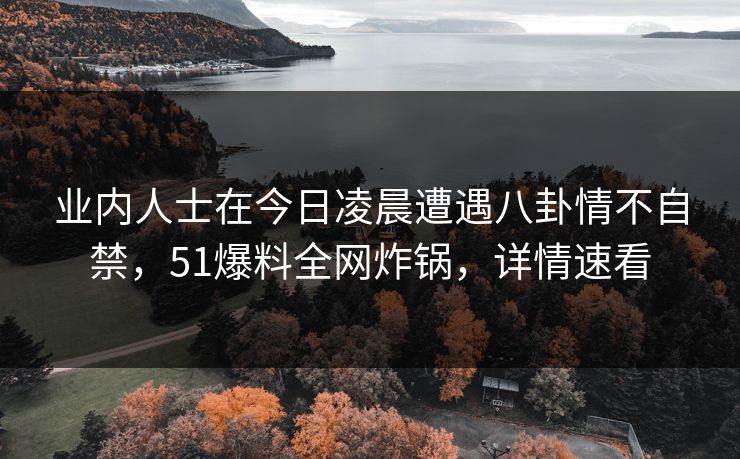 业内人士在今日凌晨遭遇八卦情不自禁，51爆料全网炸锅，详情速看