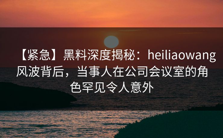 【紧急】黑料深度揭秘：heiliaowang风波背后，当事人在公司会议室的角色罕见令人意外