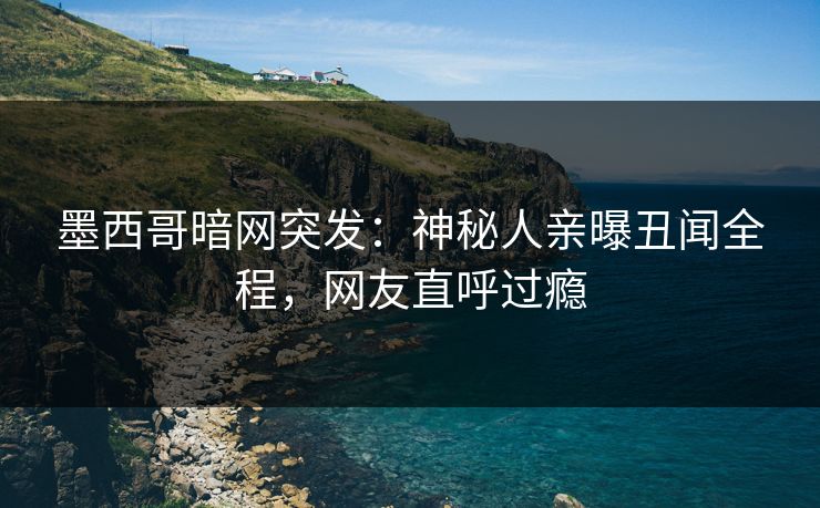 墨西哥暗网突发：神秘人亲曝丑闻全程，网友直呼过瘾