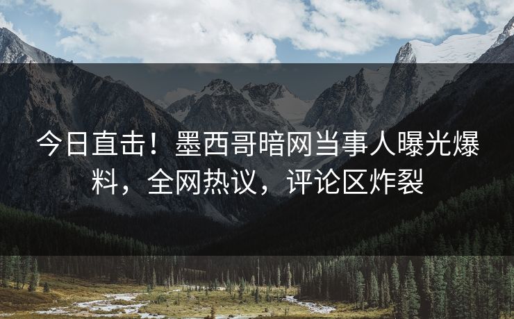 今日直击！墨西哥暗网当事人曝光爆料，全网热议，评论区炸裂