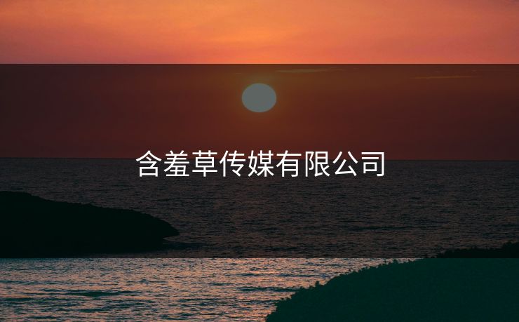 含羞草传媒有限公司
