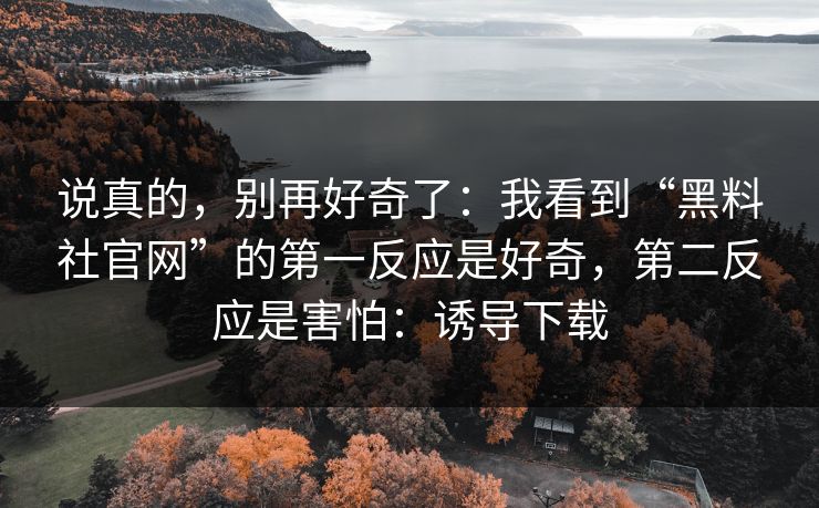 说真的，别再好奇了：我看到“黑料社官网”的第一反应是好奇，第二反应是害怕：诱导下载