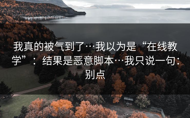 我真的被气到了…我以为是“在线教学”：结果是恶意脚本…我只说一句：别点